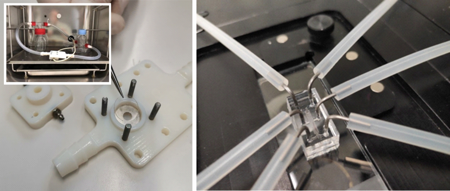 bioreactors-1