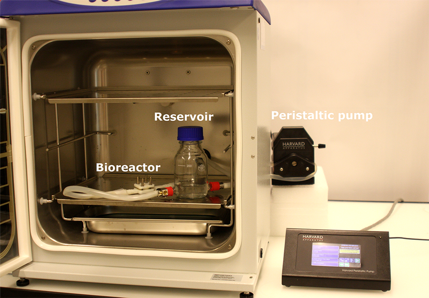 Bioreactor