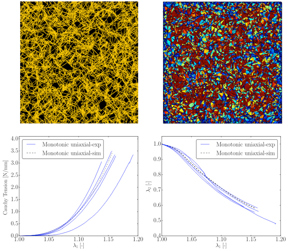 Mechanical Characterization