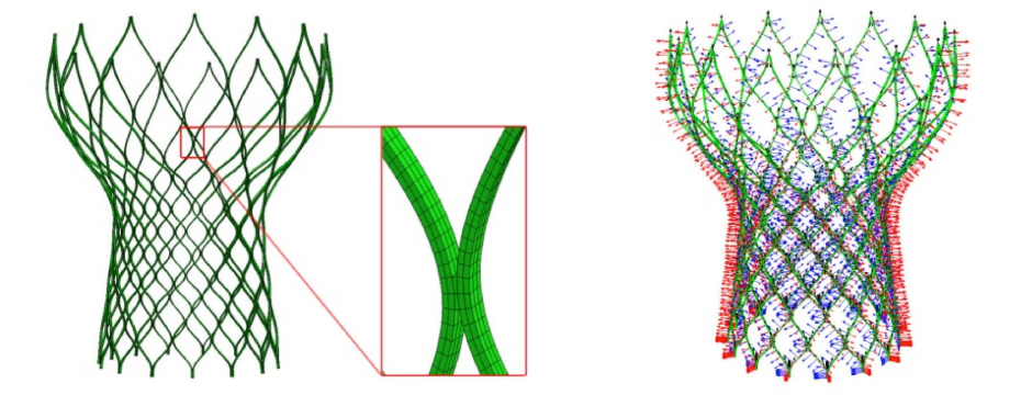 The Finite Element Models