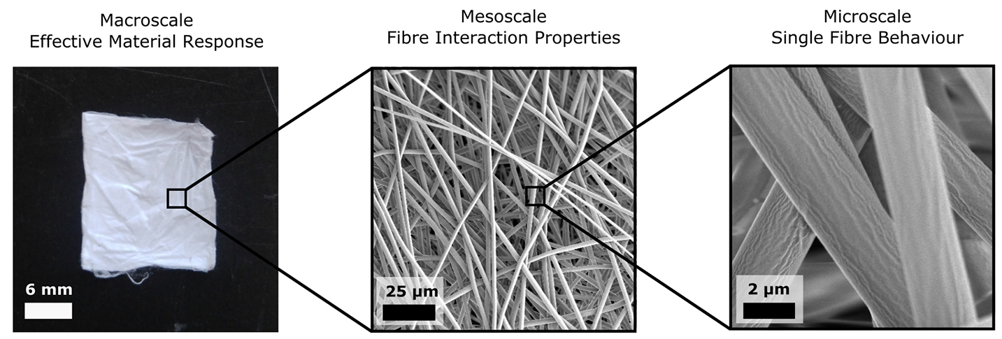 Scale transition (SEM by A. Morel, Empa St. Gallen)