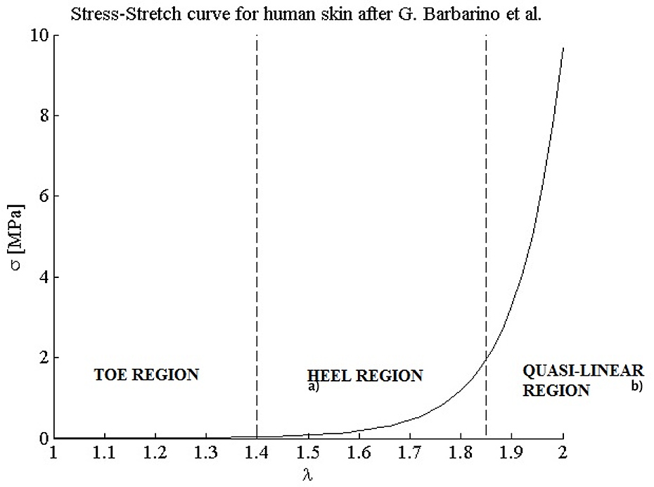 Example of the influence of collagen on the skin global behavior