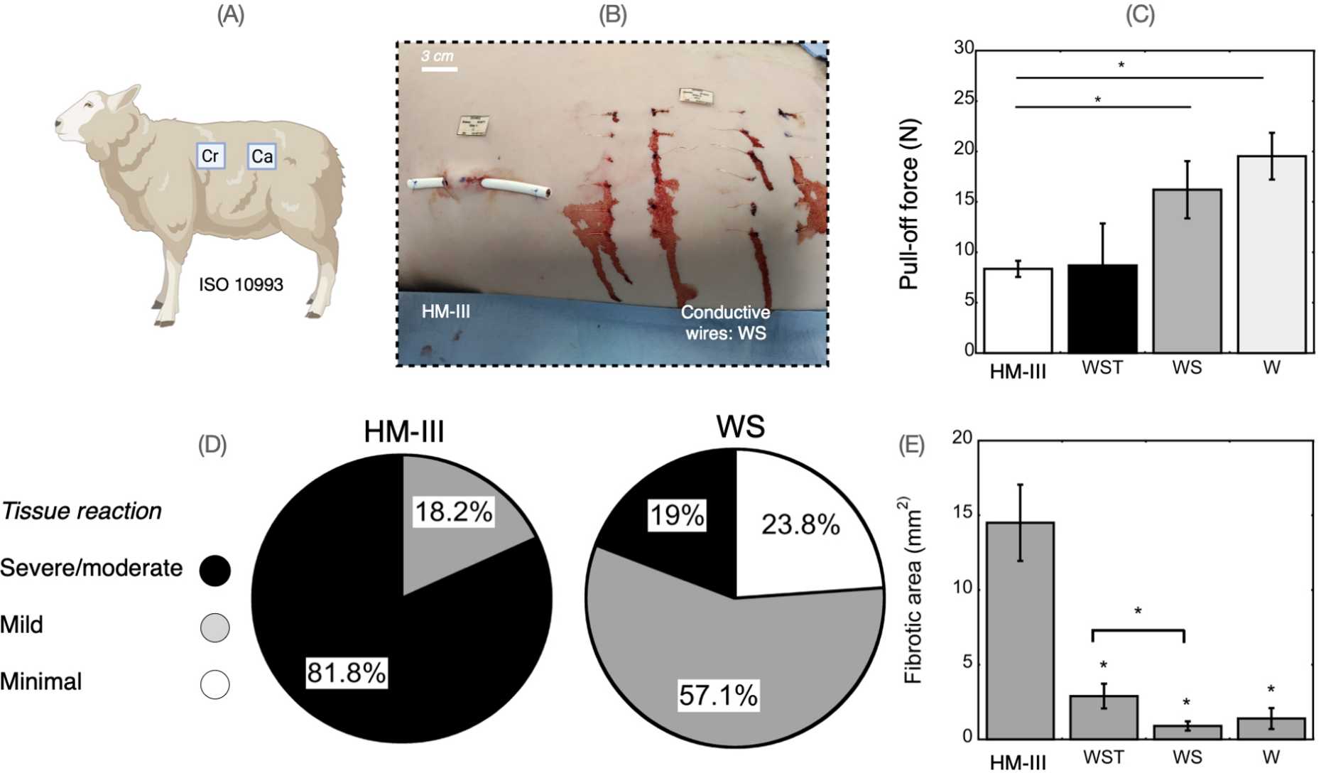 Biocompatible wires