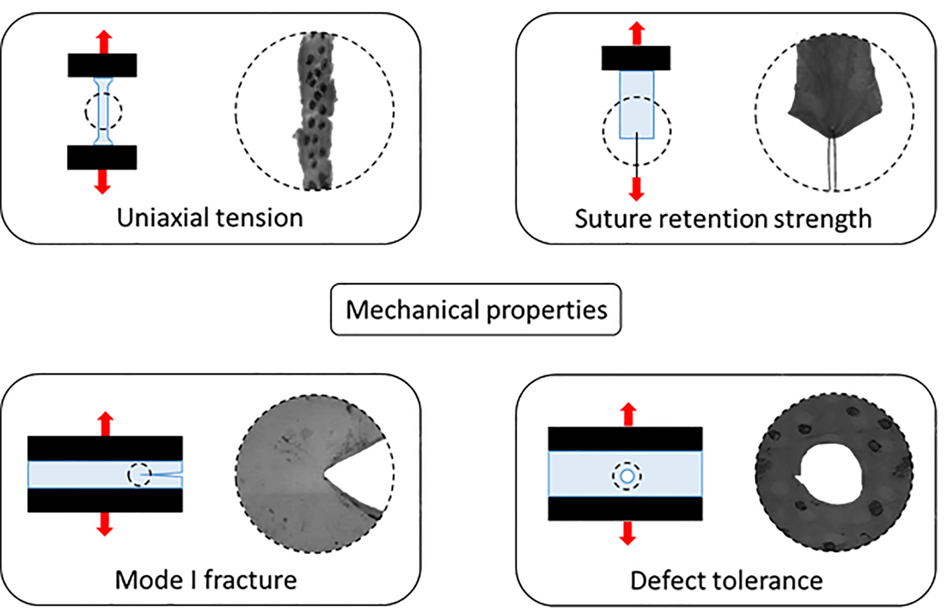 mechanical properties