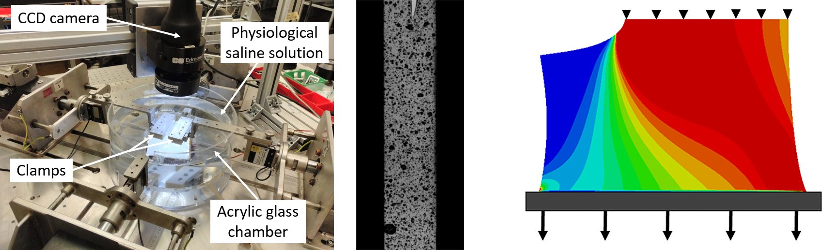 Figure 2 and 3