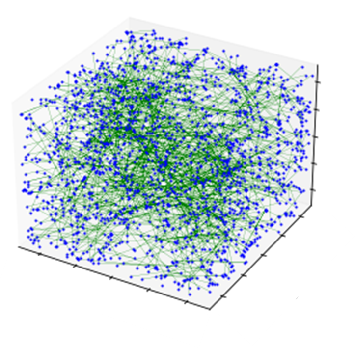 collagenous network structures